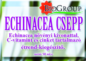 echinacea-csepp-ok