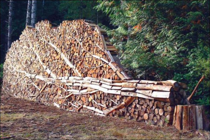 firewood_stack_16